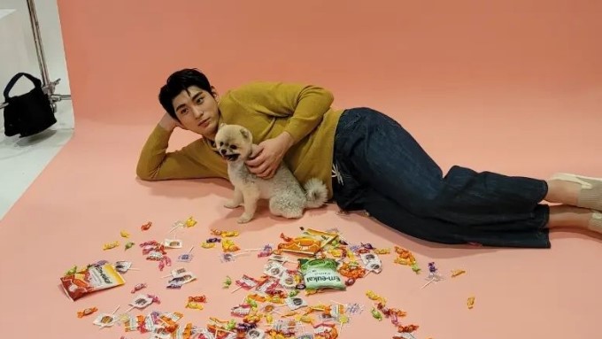 이정후 인스타
