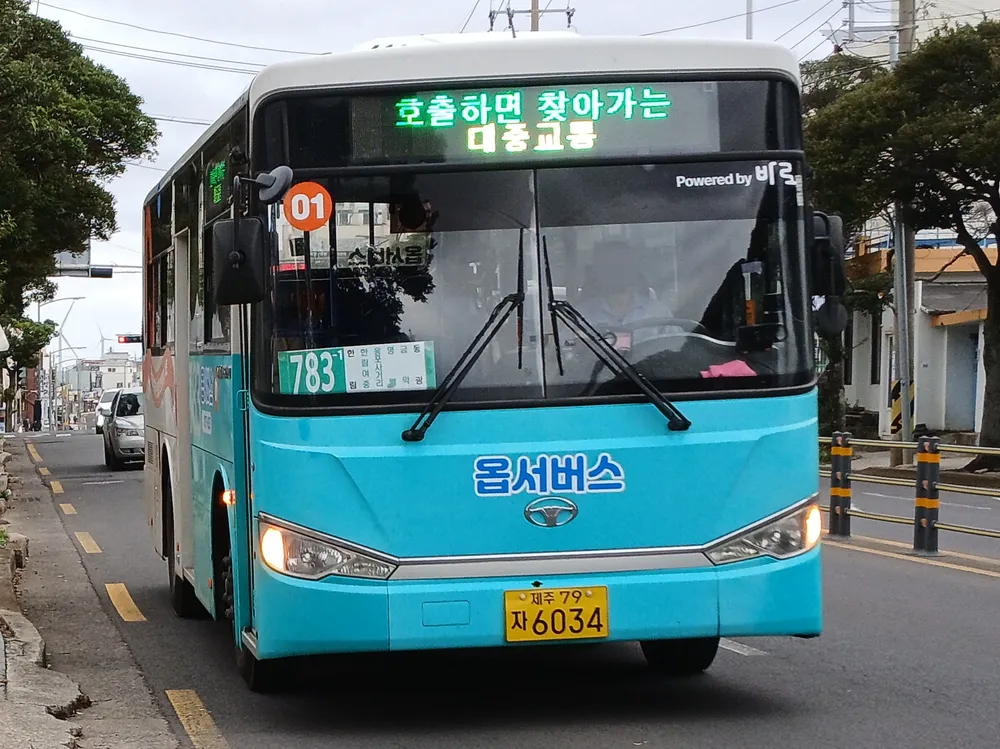 제주도 옵서버스