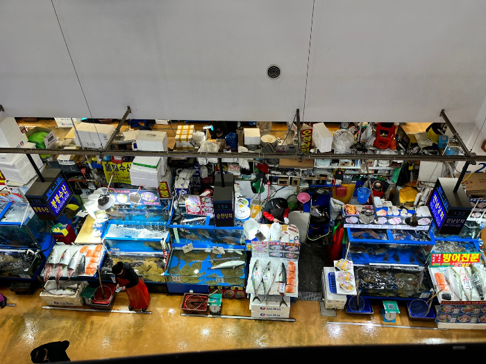 대방어 및 횟감들