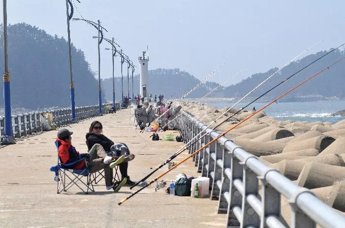 방파제낚시 추천 인천 접근성 좋은 포인트 무료주차와 화장실 정보_8