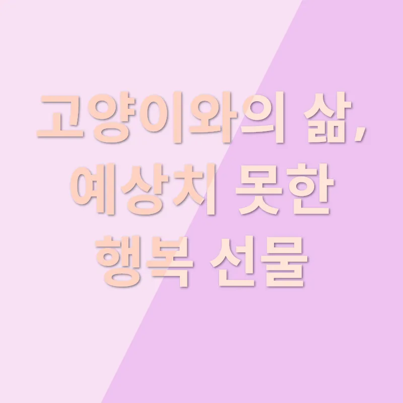고양이와의 행복_3