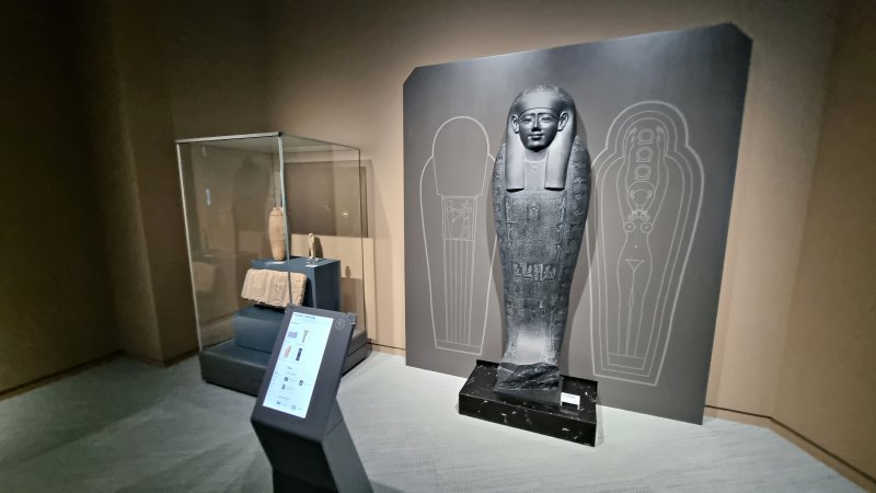 네페르이브레 사네이스의 파양스 샤브티