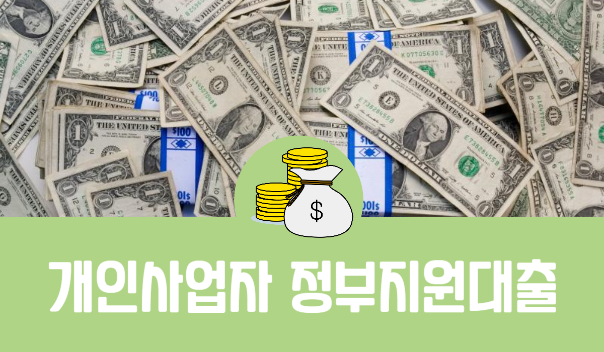 개인사업자 정부지원대출