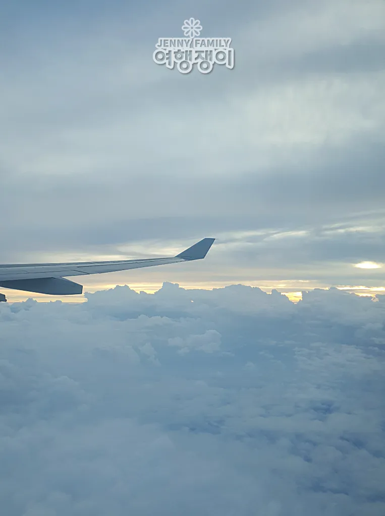 항공기 날개와 구름 바다, 다낭행 국제선 비행 중 아침 하늘 ❘ Airplane wing above a sea of clouds at sunrise, en route to Da Nang, Vietnam