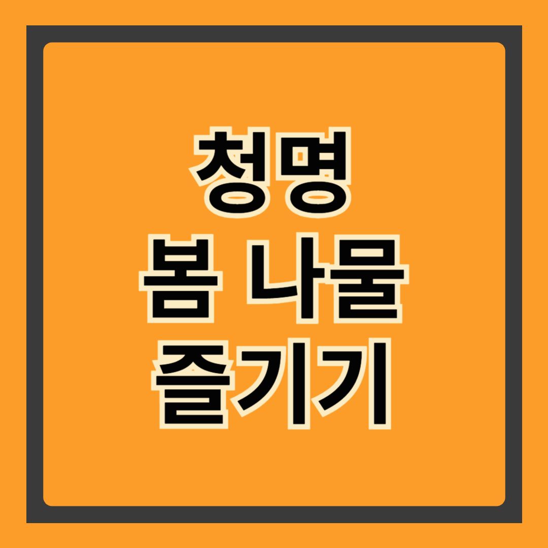 청명에 꼭 먹어야 할 봄나물! 몸과 마음이 맑아지는 제철 건강 밥상
