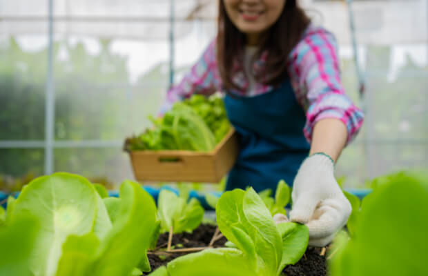 근로장려금-조건-신청방법