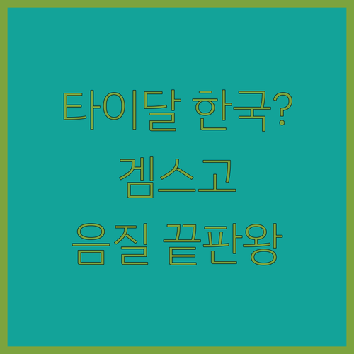 타이달 한국 이용 불가? 겜스고로 음..