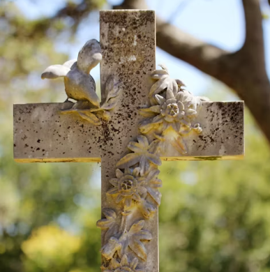 장의사, 장례지도사 취업에 대하여 알아보기