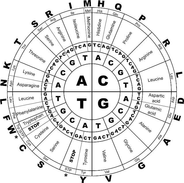 DNA 관련 사진