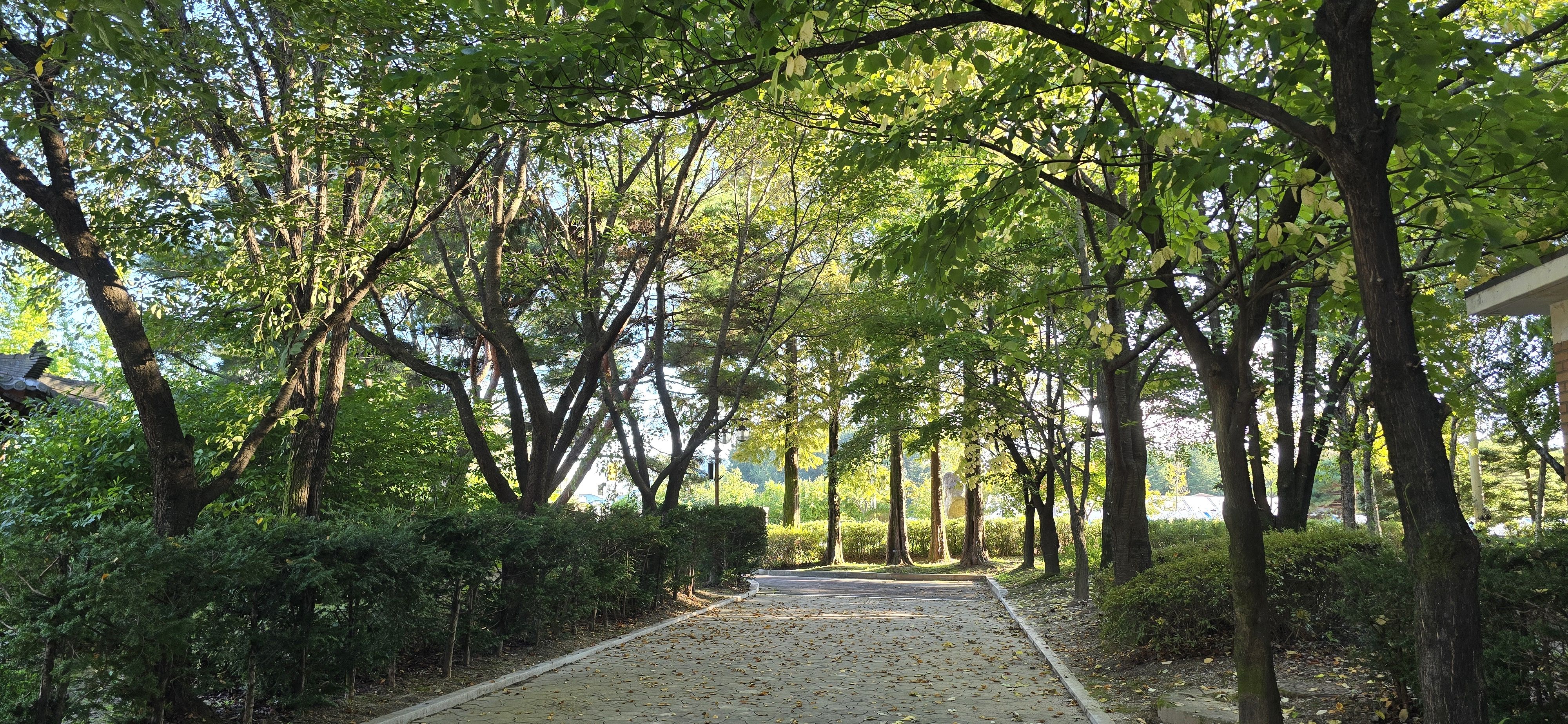 강원도립화목원