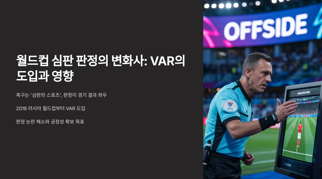 VAR의 도입과 영향
