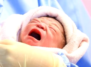 2026년 2월 출생아 증가 13..6% &amp;#124; 30대 출산율 &amp;#124; 20개월째 증가