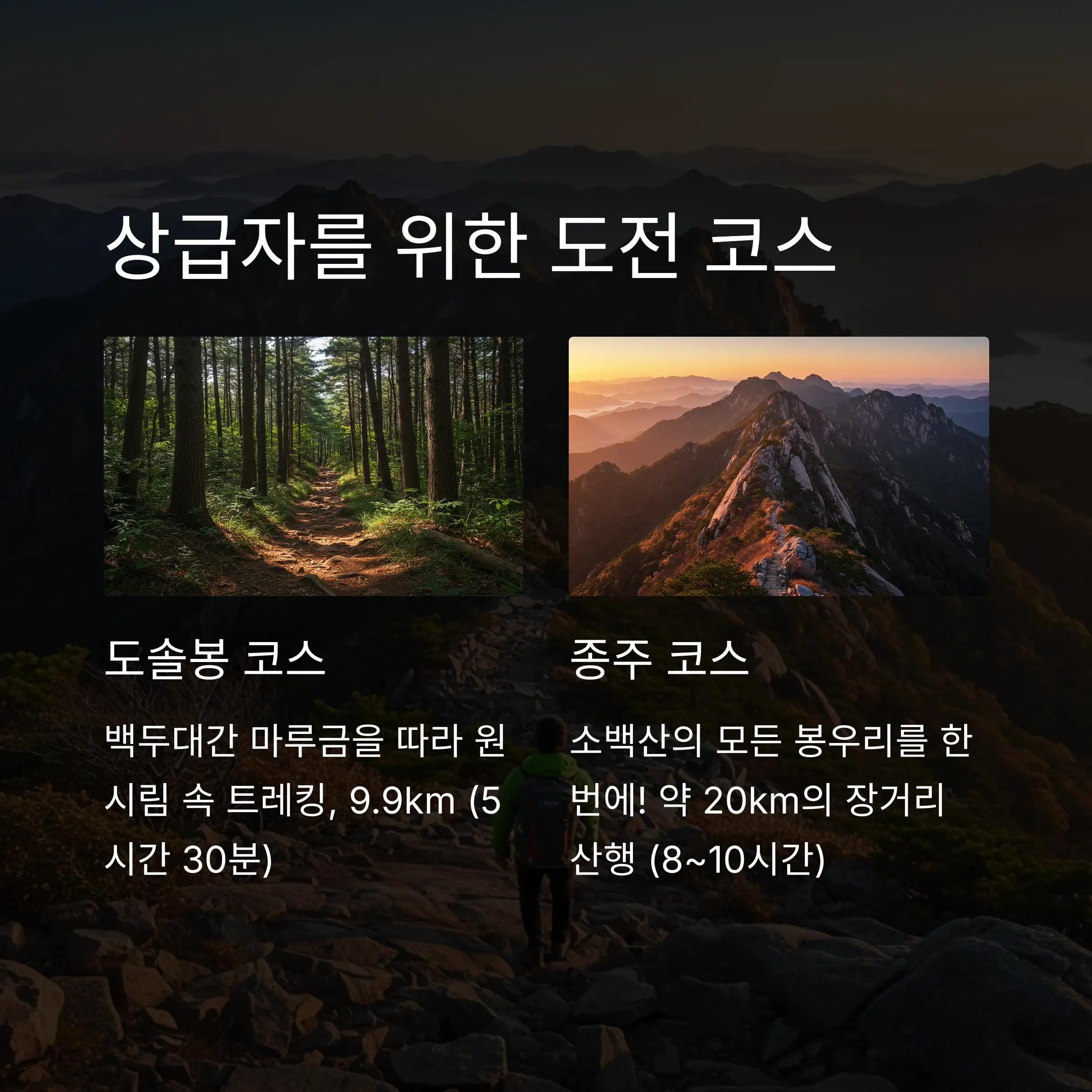 🎯 상급자 도전 코스