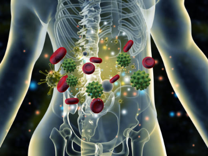 자가 면역 질환에 대해