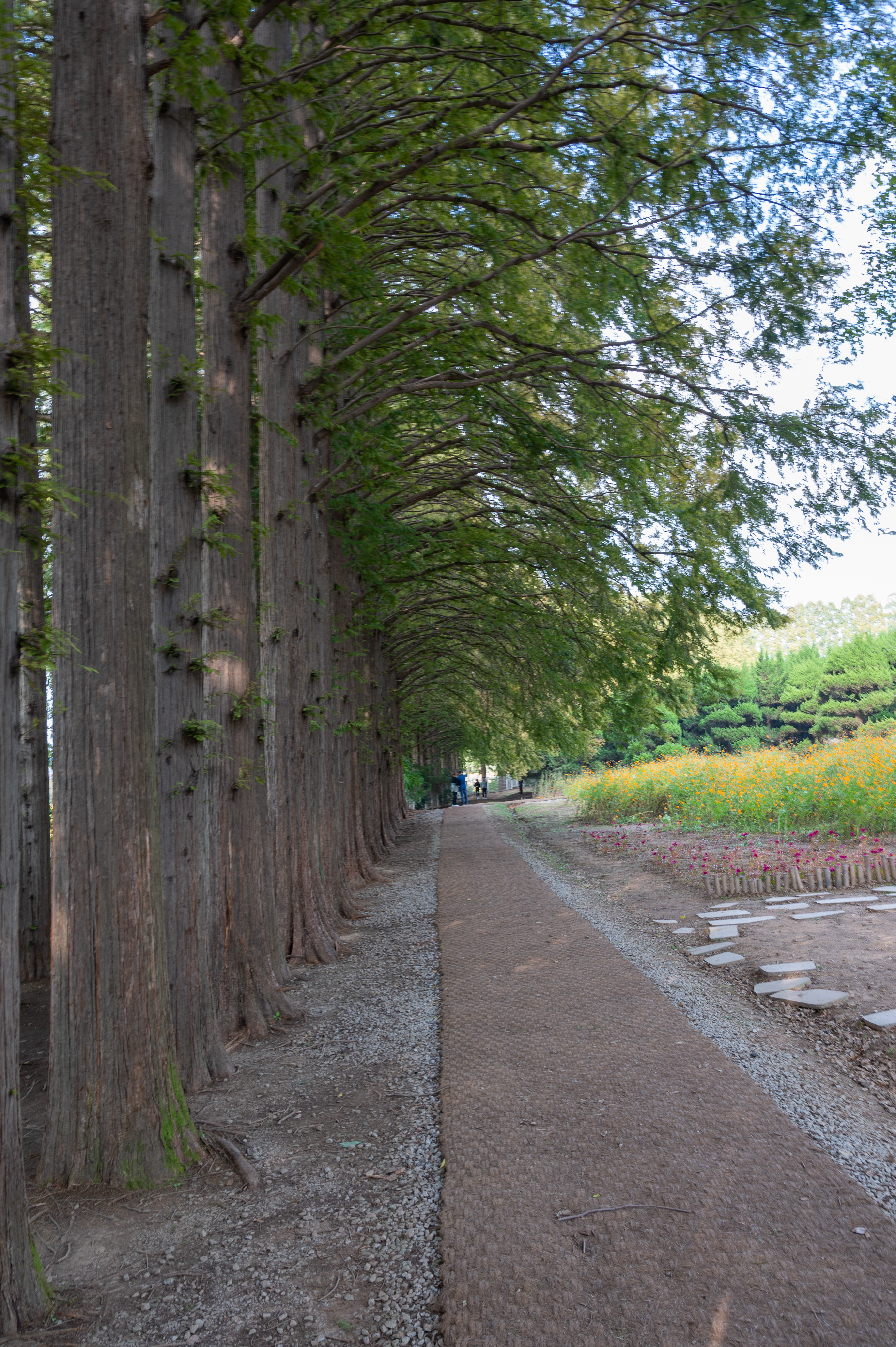 ์๊ฐํ ์ ์