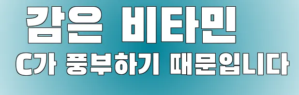  감은 비타민 C가 풍부하기 때문입니다