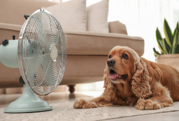 외부보다 실내 환경이 더 탈수를 유발할 수 있어요.