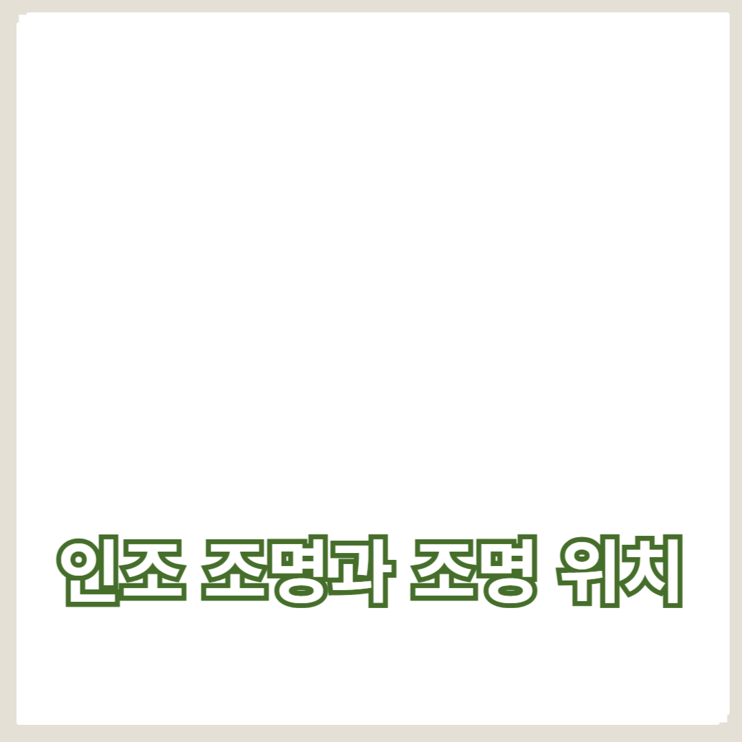 인조 조명과 조명 위치로 사진의 퀄리티 높이기