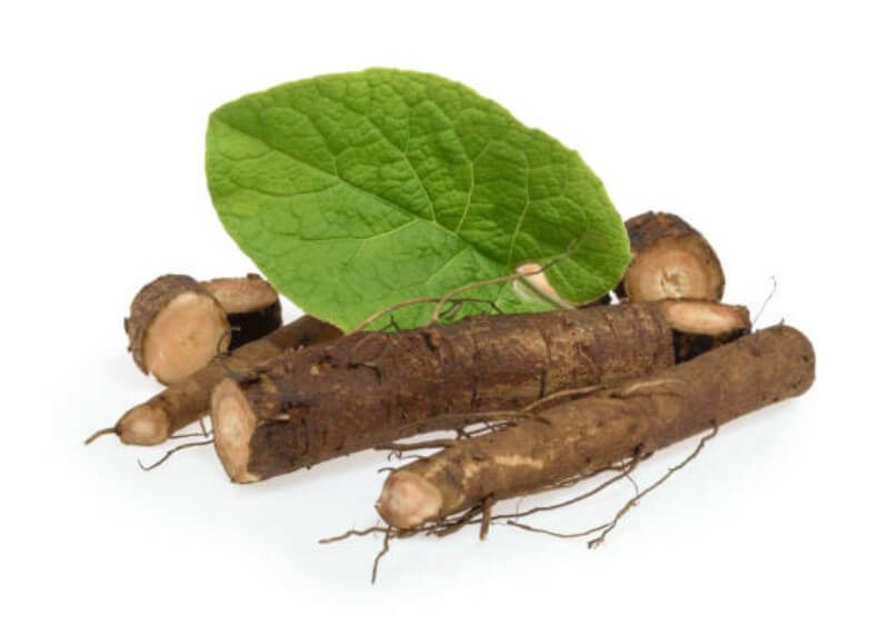 우엉효능과부작용