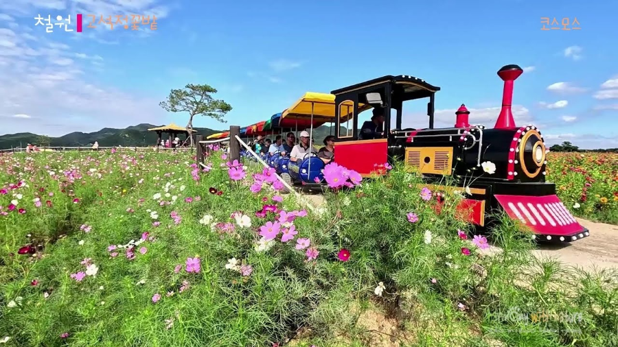 철원 고석정 꽃밭 체험 프로그램 &amp; 축제 분위기