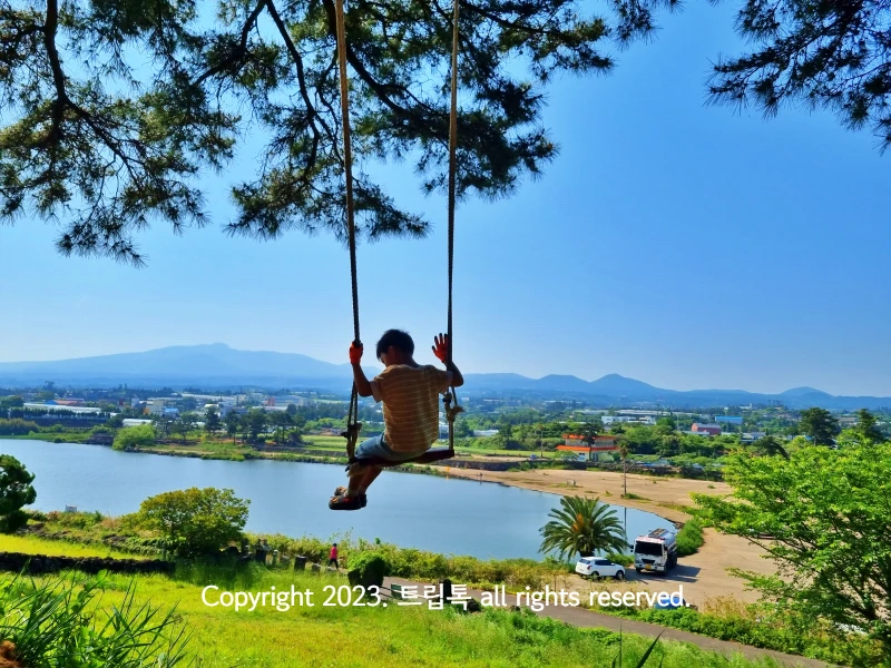 땅이 안보여서 완전 허공에 메달린듯한 그네를 타고 있는 아이의 뒷보습