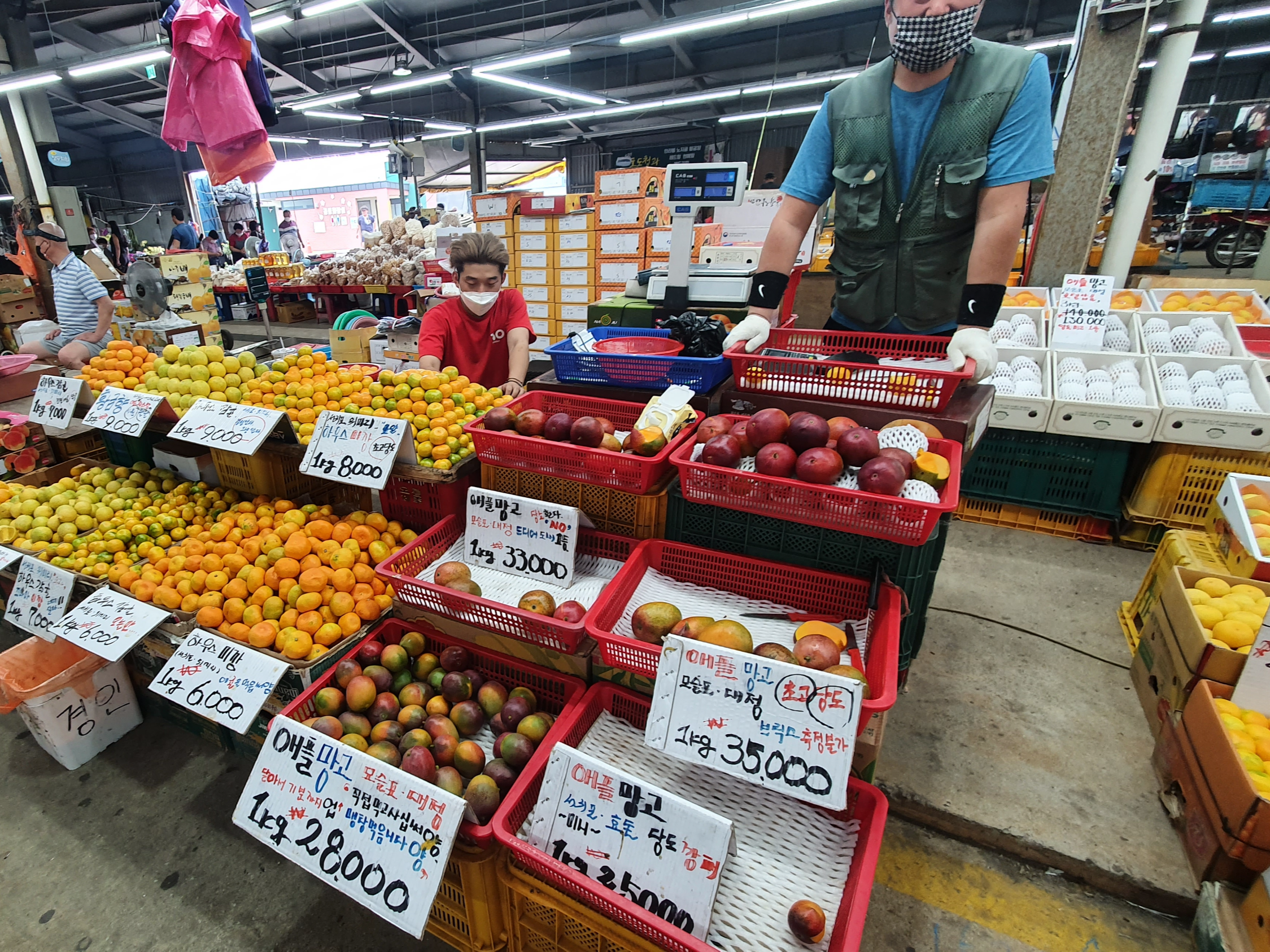 제주 5일장 일정표