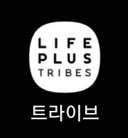 서울세계불꽃축제 골든티켓 트라이브 앱 다운로드