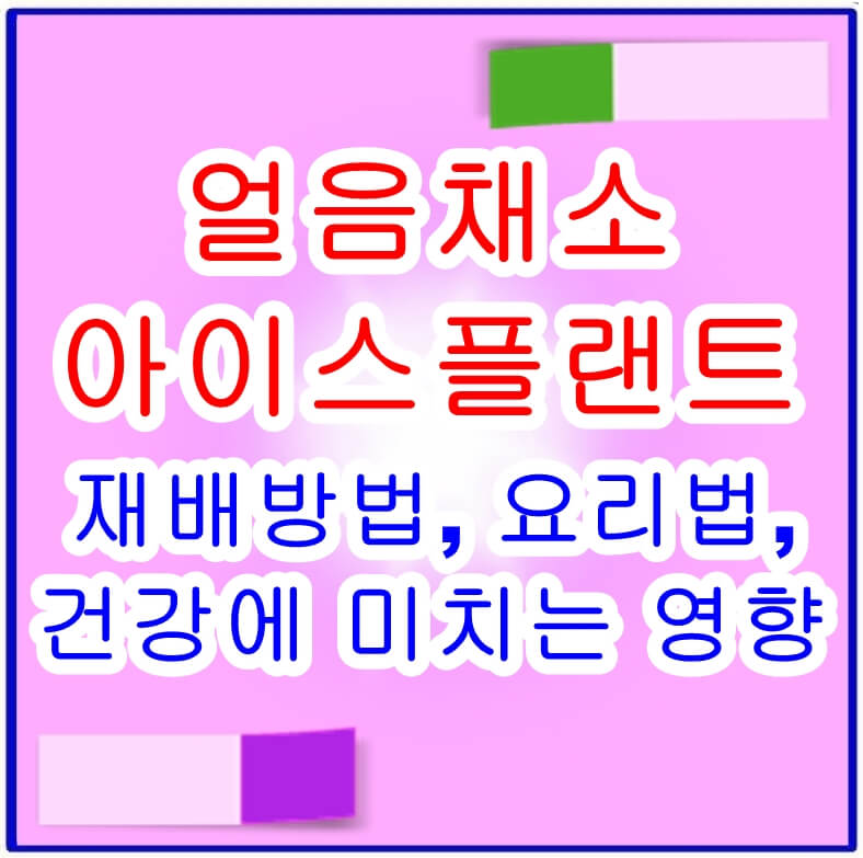 아이스플랜트소개