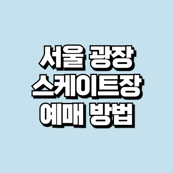 서울광장 스케이트장