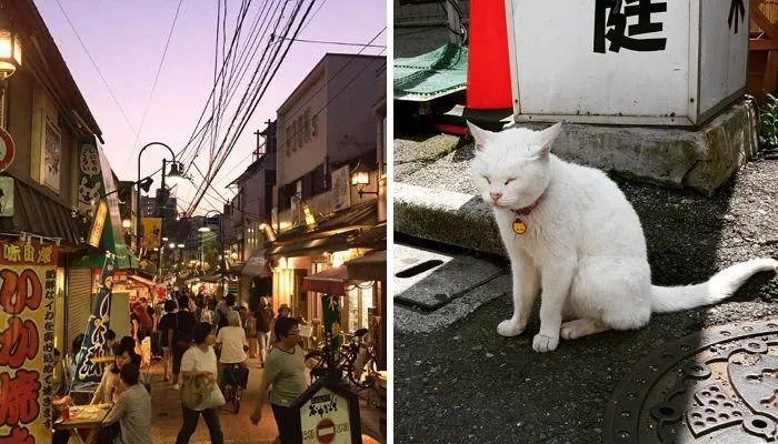 &amp;quot;일본