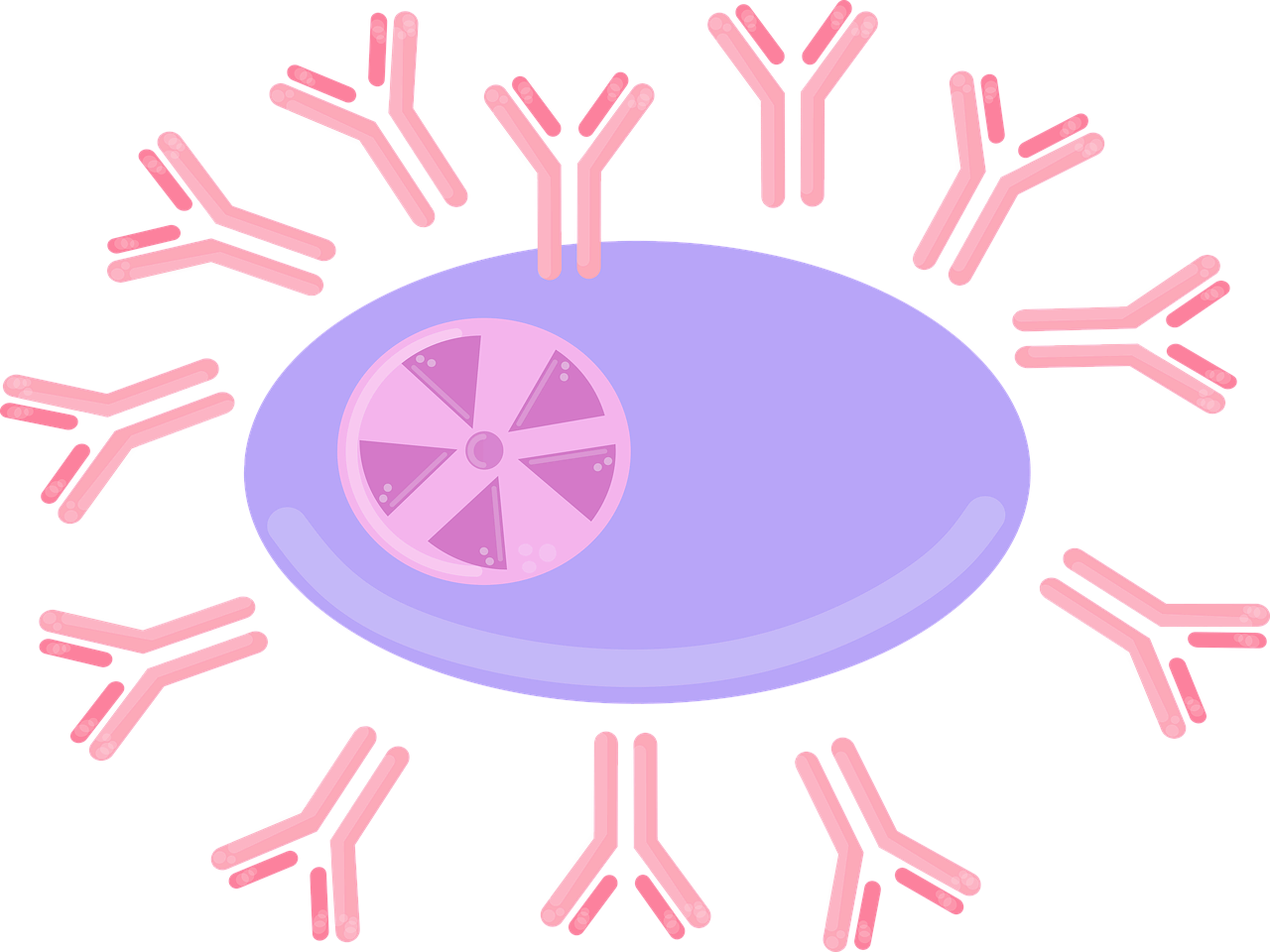 면역 질환(Disorders of Immune system)