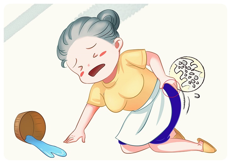 골다공증의 이해