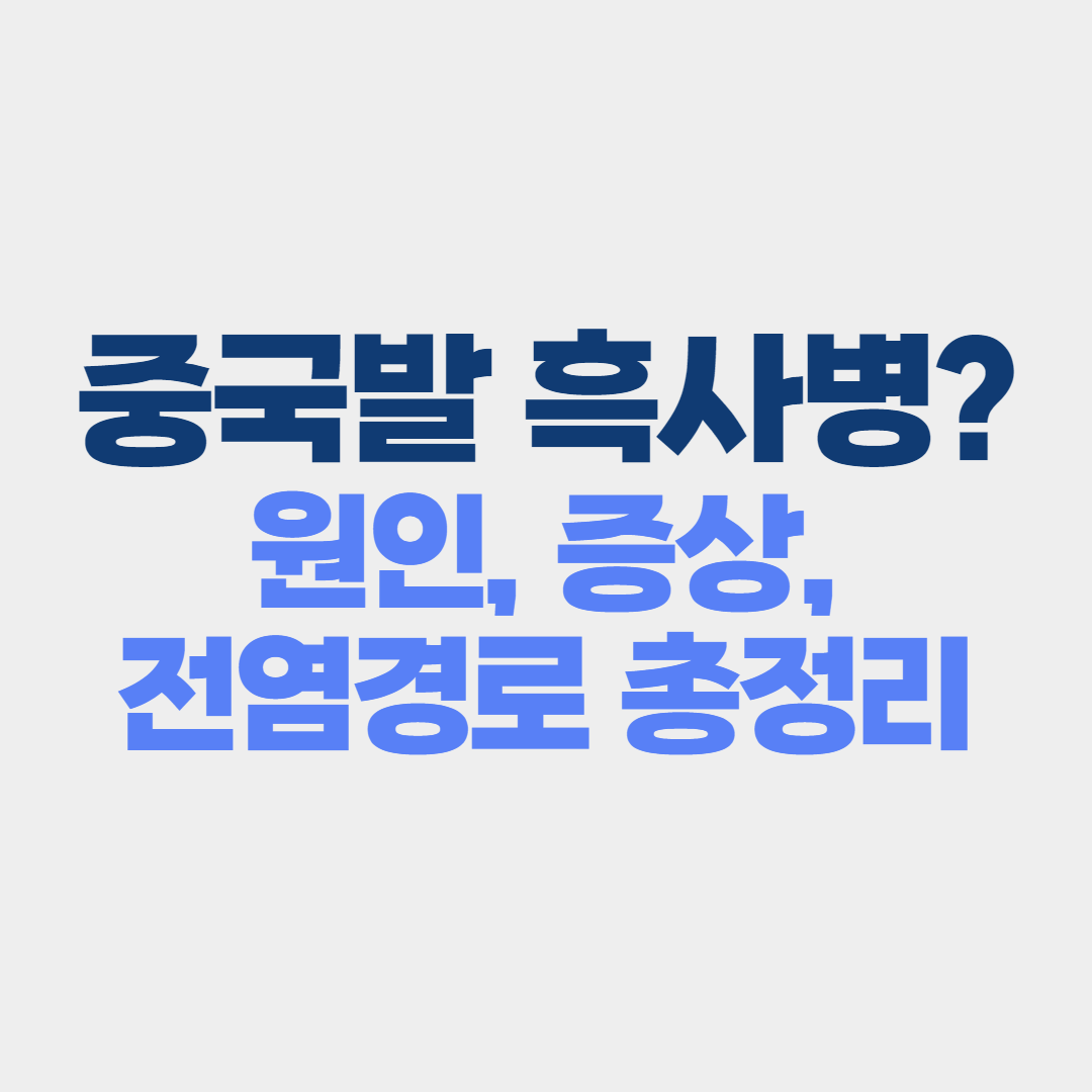 흑사병 원인 증상 전염성 치료법