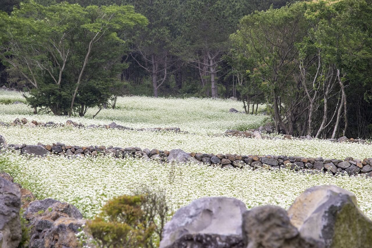 아름다운 휴양지 산책로