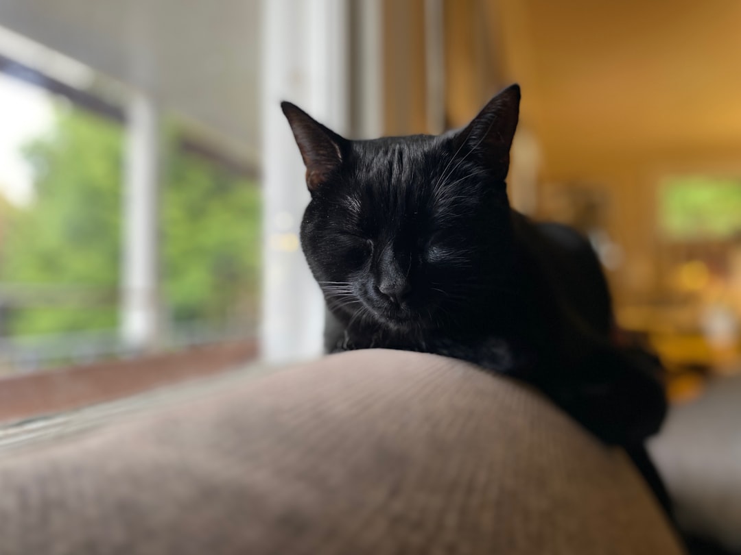 Napping