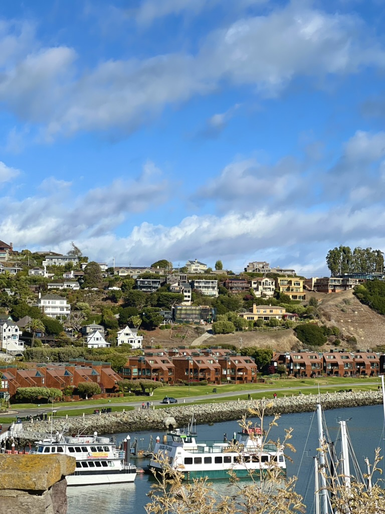 Tiburon Corinthian Overlook View