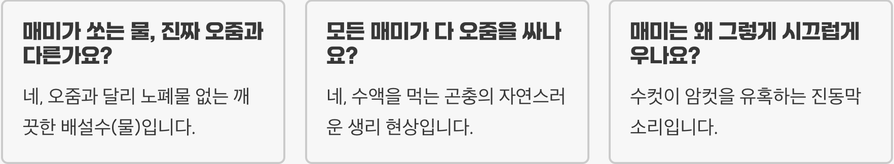 참매미가 오줌 싸는 이유, 정말 방어 행동일까요?