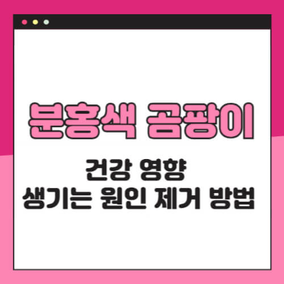 화장실청소, 분홍곰팡이, 세라티아마르세센스, 욕실관리, 곰팡이제거, 가습기청소, 락스사용법, 베이킹소다, 생활꿀팁, 청소방법