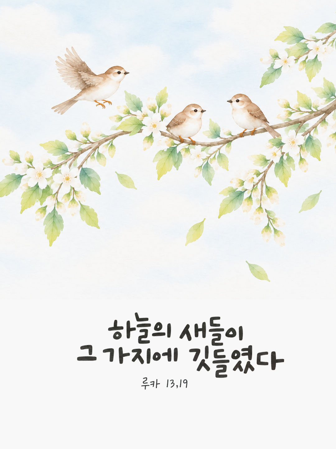 하늘의 새들이 그 가지에 깃들였다. (루카 13,19) 말씀카드