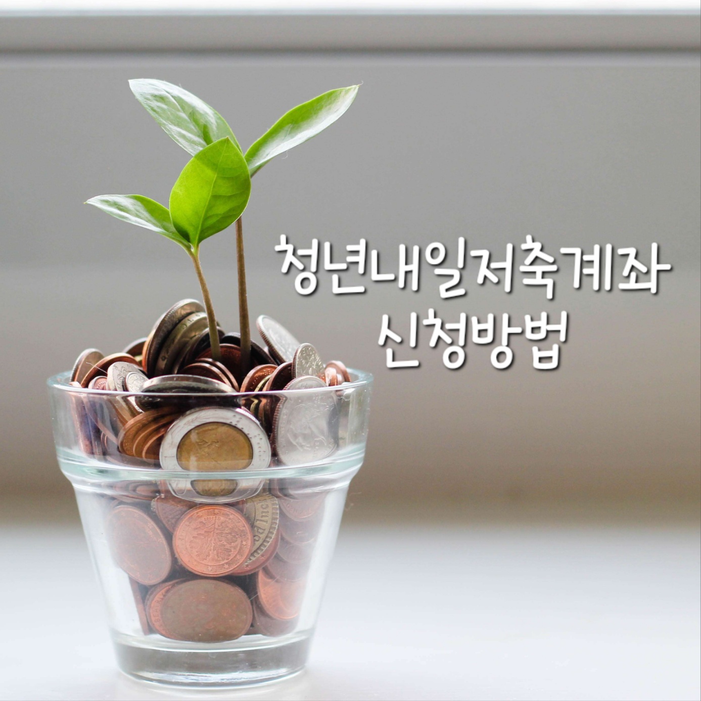청년저축내일계좌 신청방법
