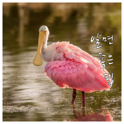 생계 안정 2025 지역공동체일자리사..