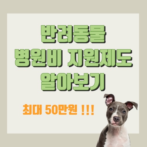 반려동물_병원비_지원제도