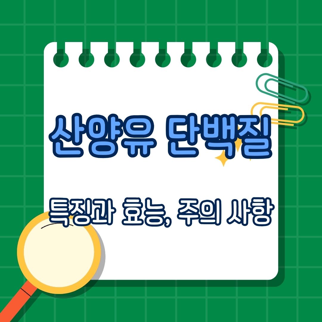 산양유 단백질 특징, 특성, 효능, 관련 연구, 주의 사항, 산양유 단백질의 구성, 영양학적 특징, 건강상의 이점, 관련 연구와 사례, 산양유 단백질 소비 방법, 소비 시 주의할 점, 주의 사항