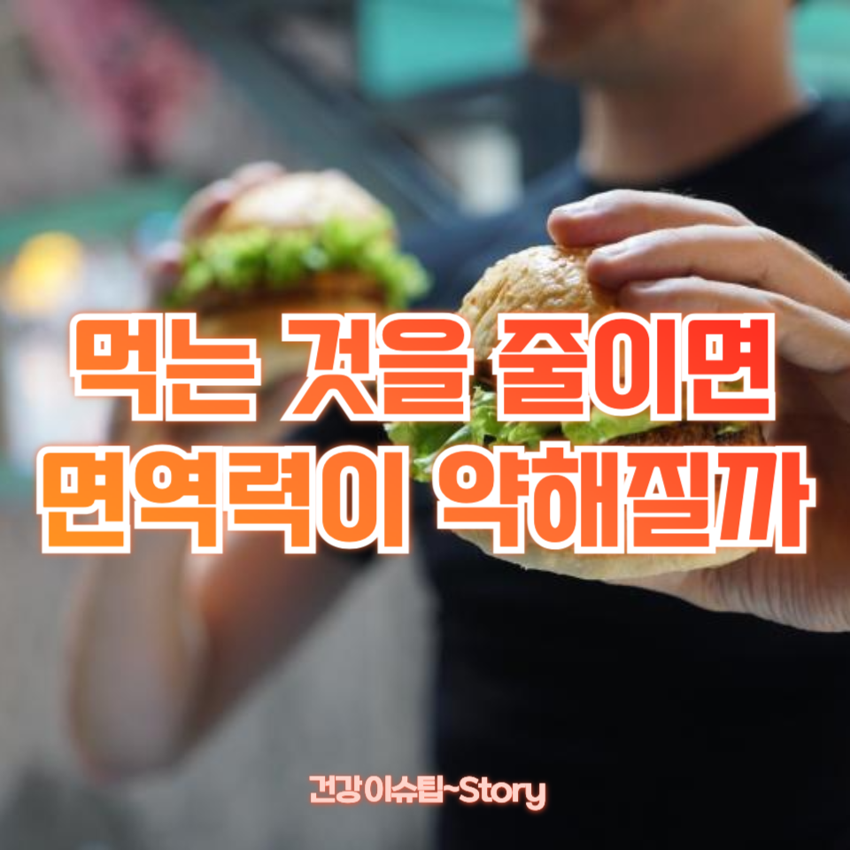 먹는 것을 줄이면 면역력이 약해질까