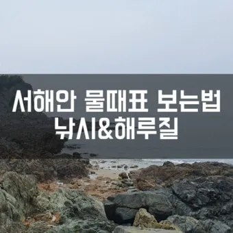 서해안 물때표 2025 조수간만 갯벌체험 낚시 일정 정리_7