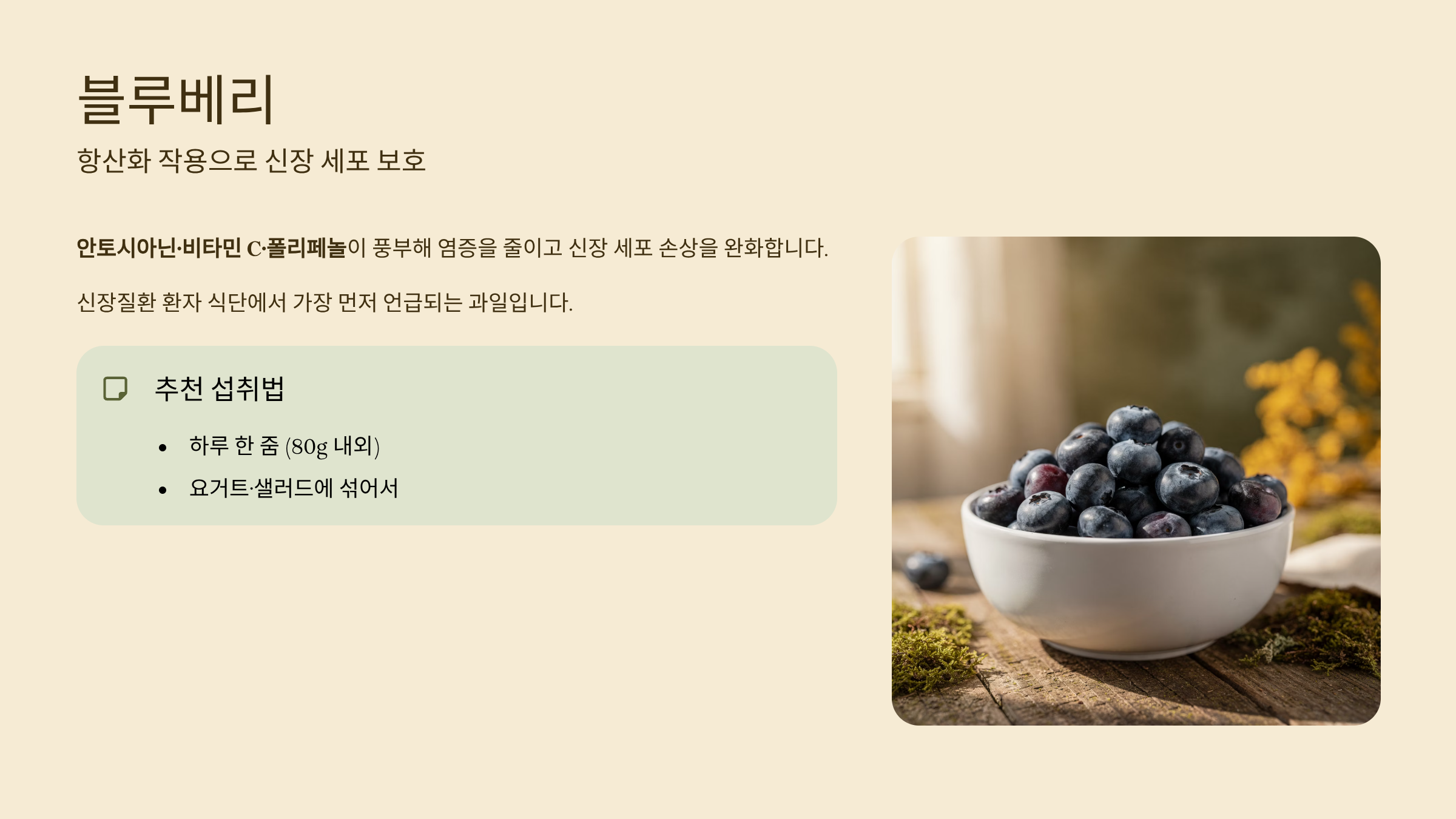 신장에 좋은 음식 블루베리