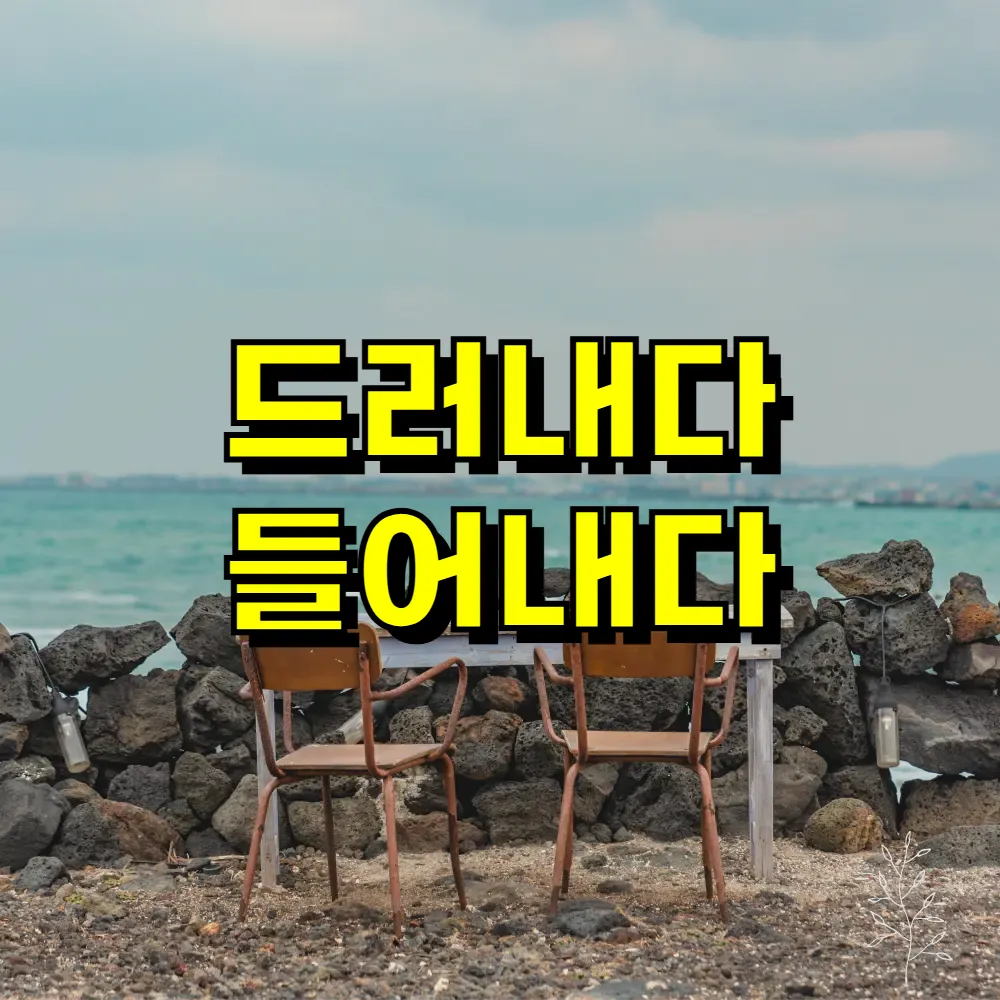 드러내다 들어내다