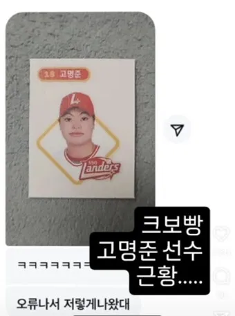 크보빵 띠부씰 컬렉션 모음_6