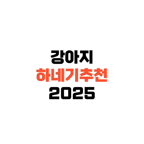 강아지하네스추천