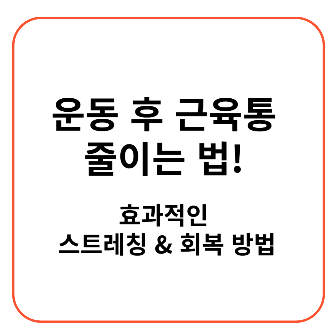 운동 후 근육통 줄이는 법! 효과적인 스트레칭 & 회복 방법